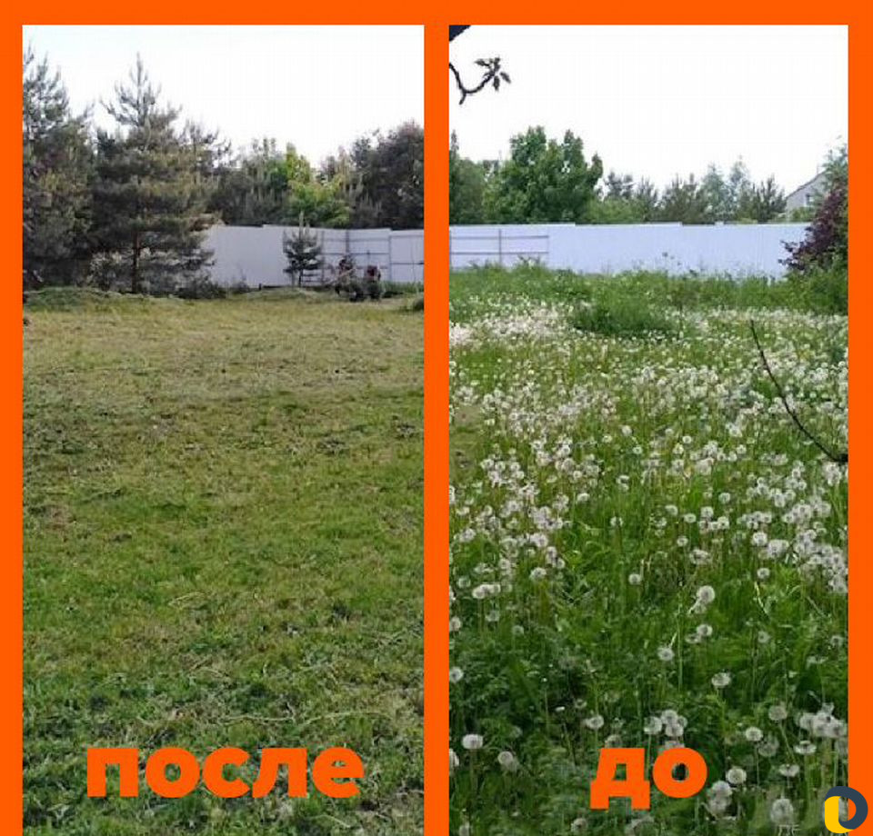 Покос травы, обрезка кустов, благоустройство участ