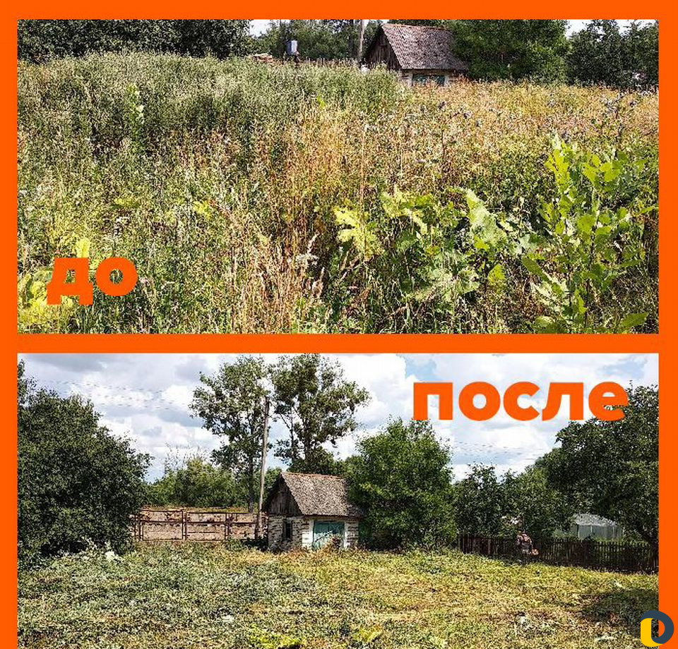 Покос травы, обрезка кустов, благоустройство участ