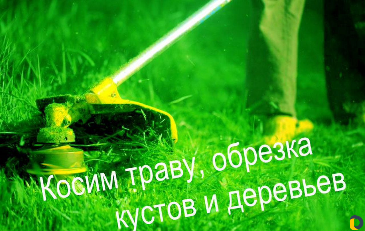 Покос травы,обрезка кустов и деревьев в Краснодаре