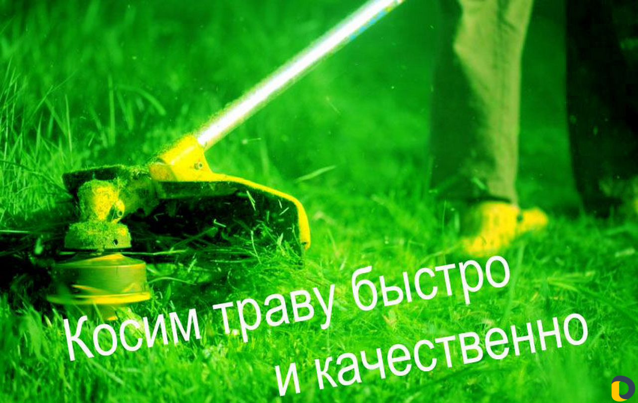 Покос травы,обрезка кустов и деревьев в Краснодаре