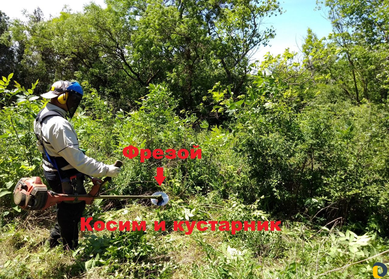 Покос травы. Расчистка участка, Вывоз мусора