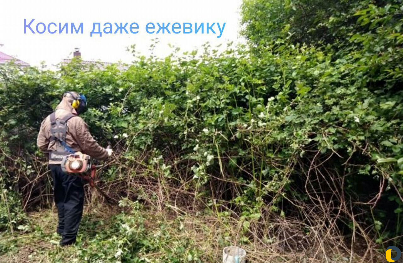 Покос травы. Расчистка участка, Вывоз мусора