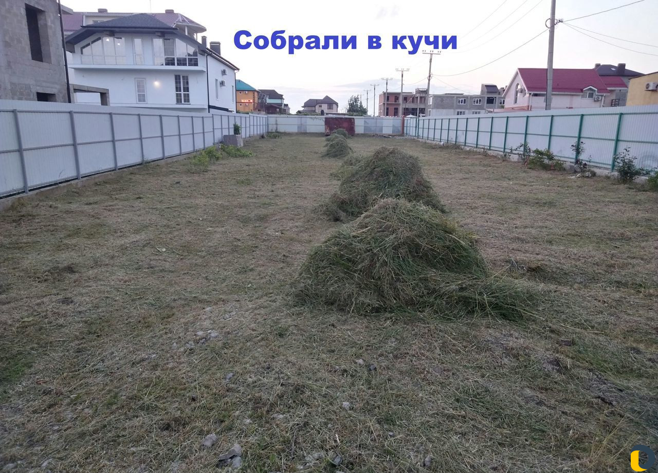 Покос травы. Расчистка участка, Вывоз мусора
