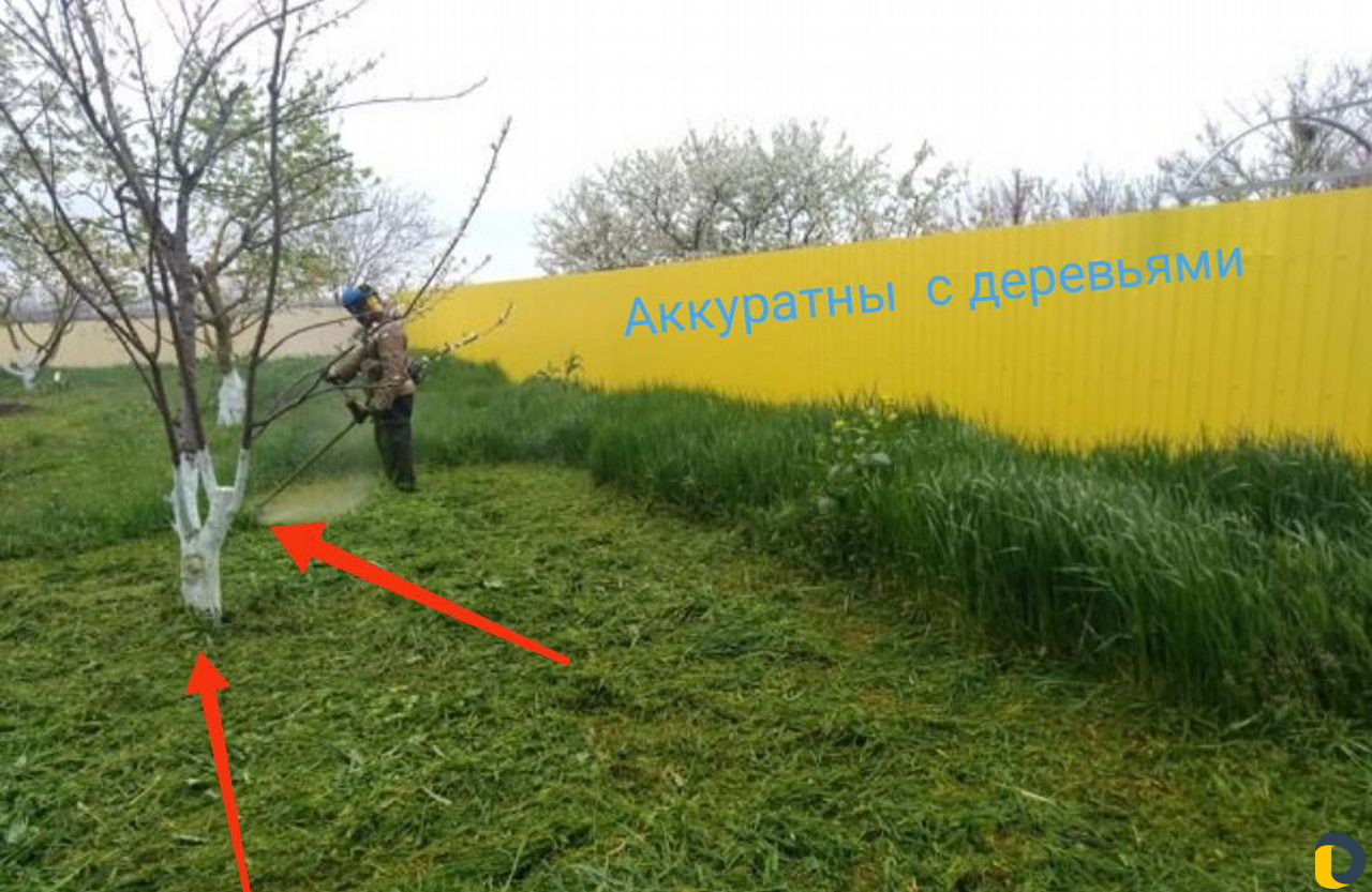 Покос травы. Расчистка участка, Вывоз мусора