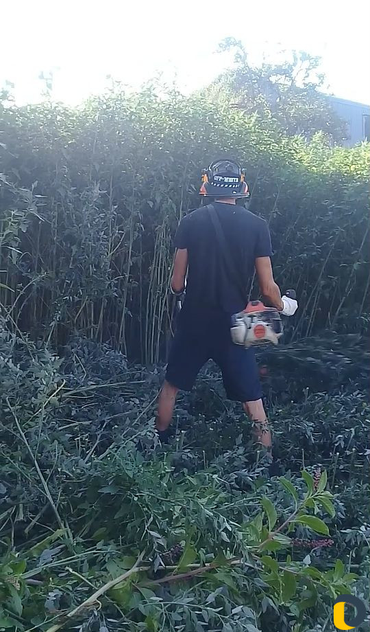 Покос травы спил деревьев Расчистка участка