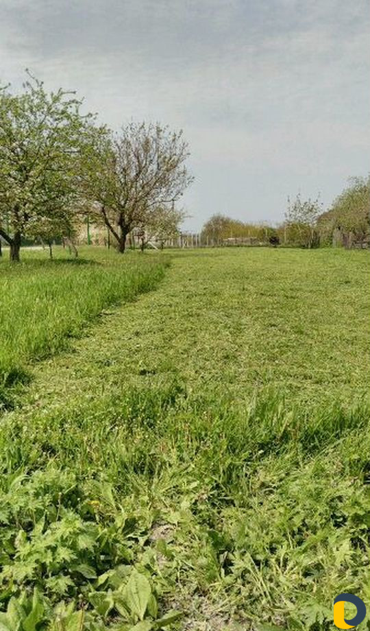 Покос травы, спил деревьев, вспашка земли