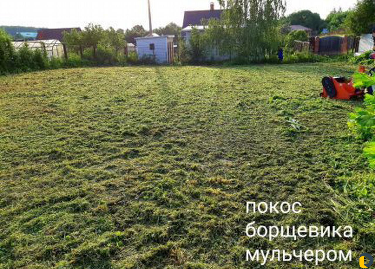 Покос травы, спил деревьев, вспашка земли