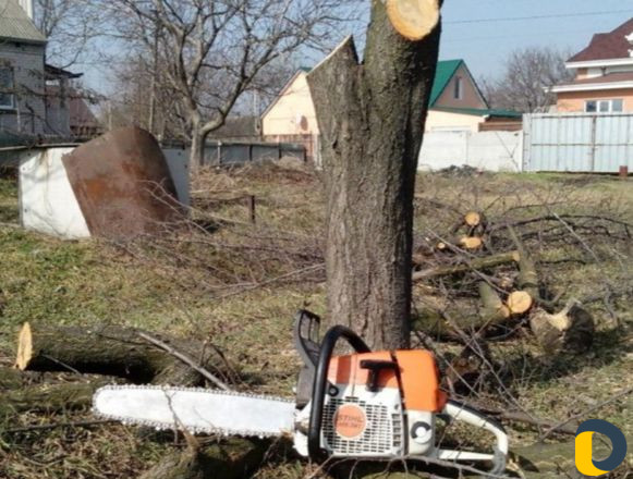 Покос травы,спил деревьев,вывоз мусора