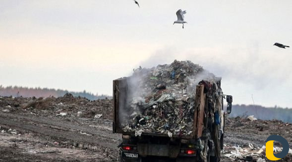 Покос травы,спил деревьев,вывоз мусора