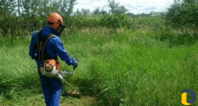 Покос травы,спил деревьев,вывоз мусора