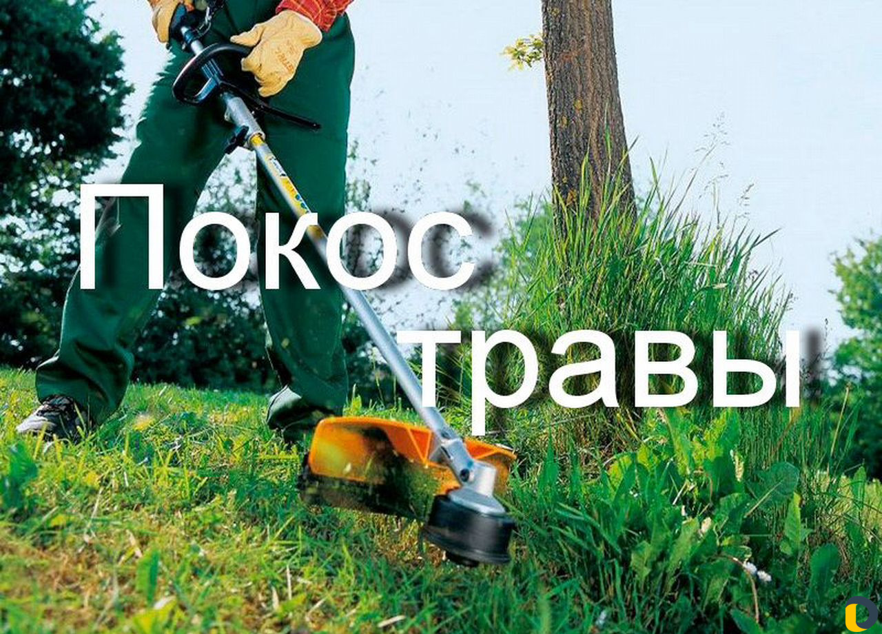 Покос травы, спил деревьев, заготовка дров, расчис