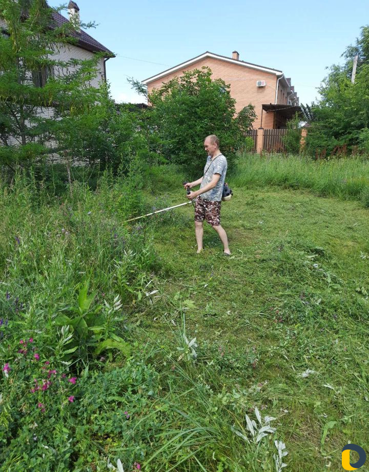 Покос травы