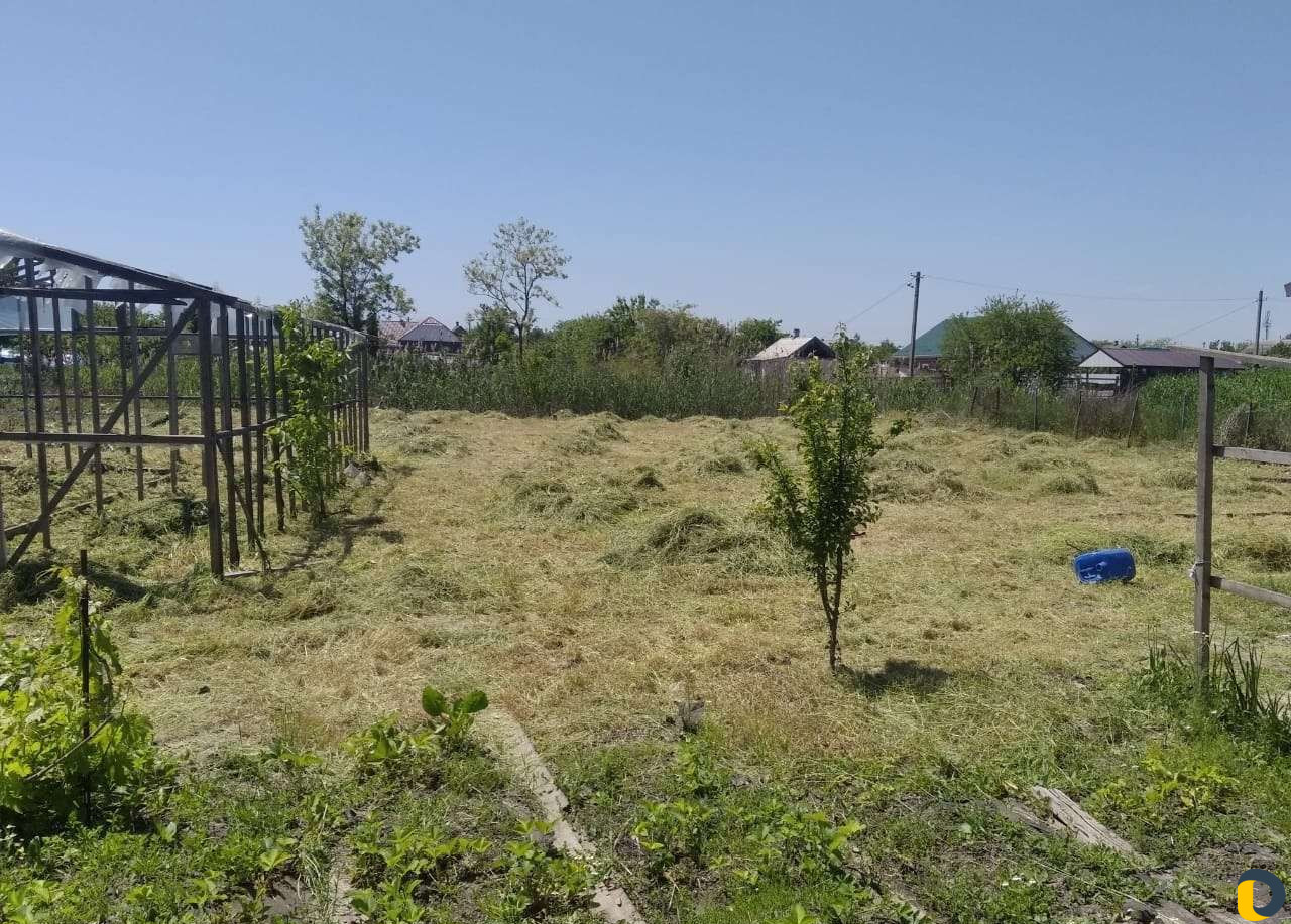 Покос травы