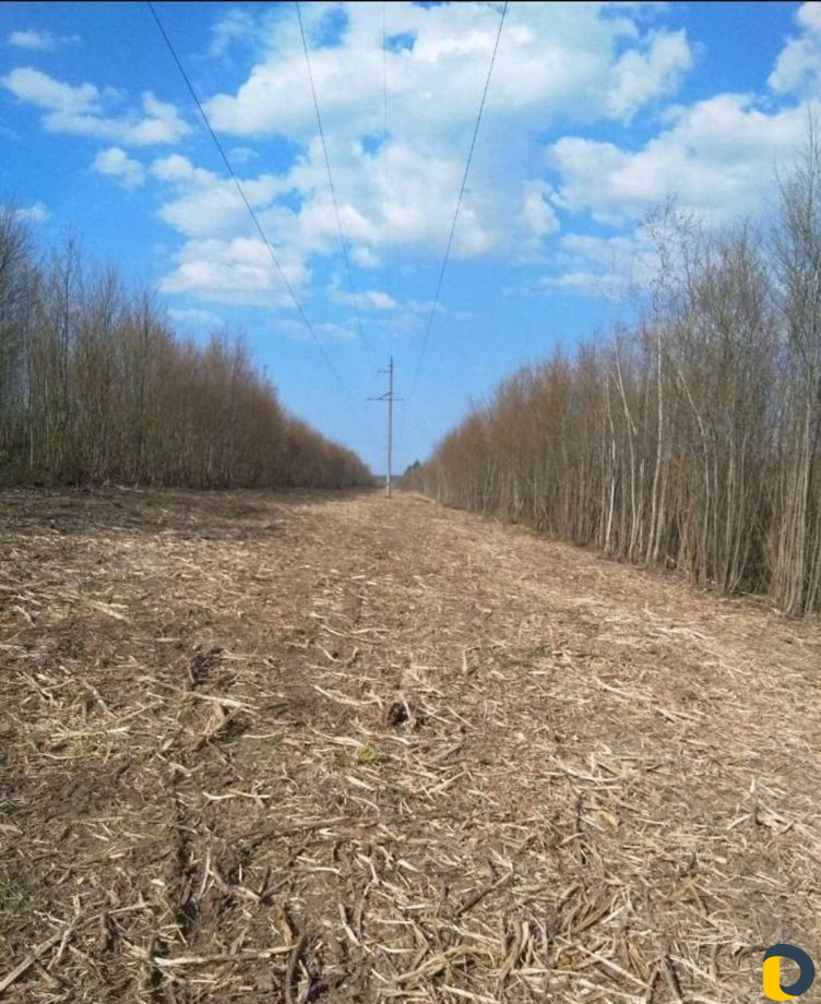 Покос травы