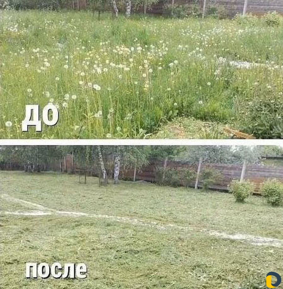 Покос травы