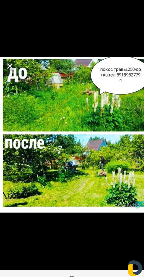 Покос травы