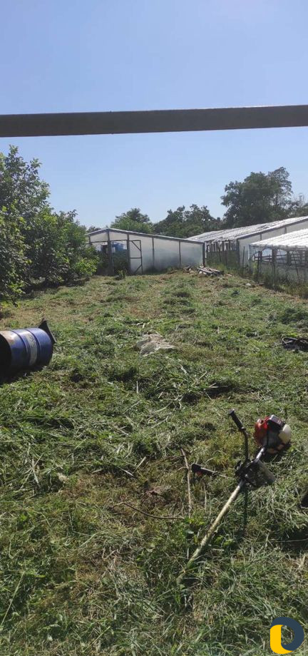 Покос травы