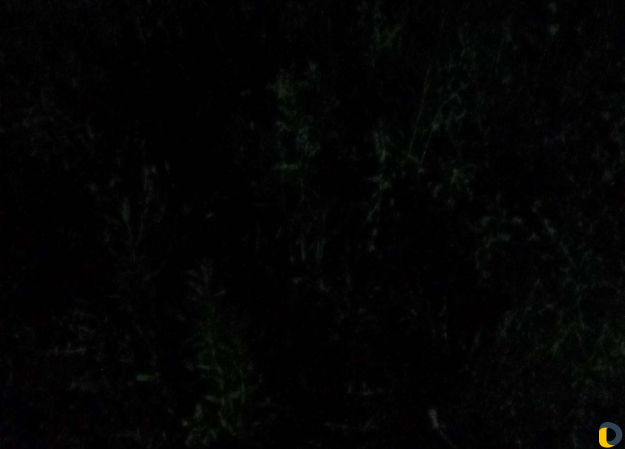 Покос травы