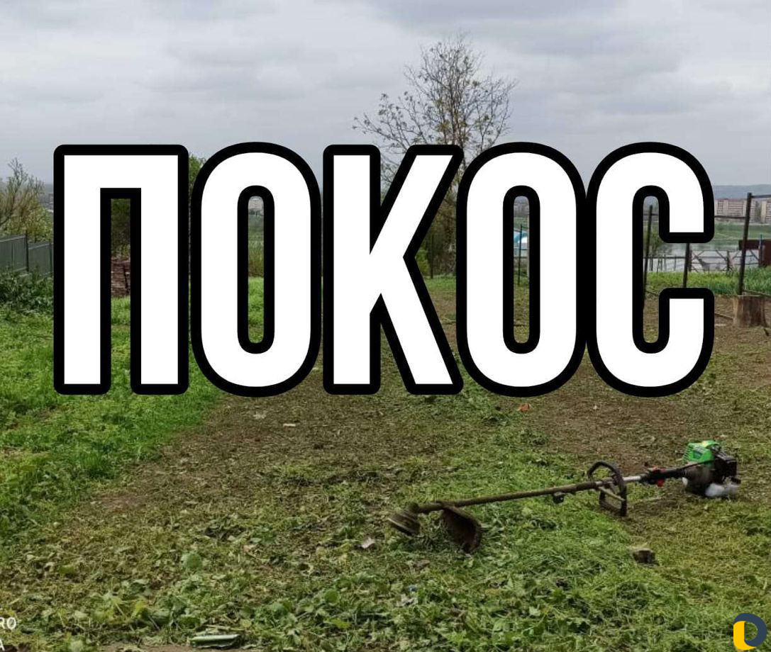 Покос