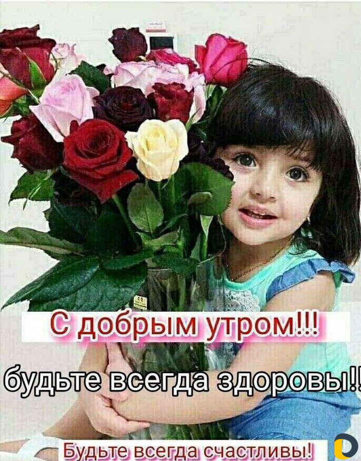 Покраска заборов, домов. Прополка огорода, не доро