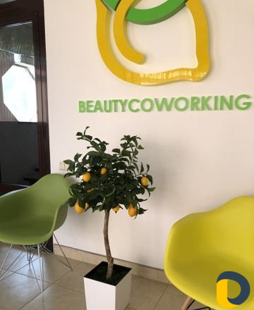 Помещение свободного назначения, 150 м²