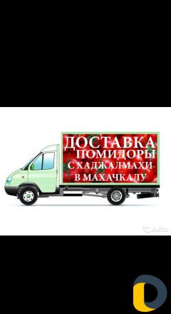 Помидоры
