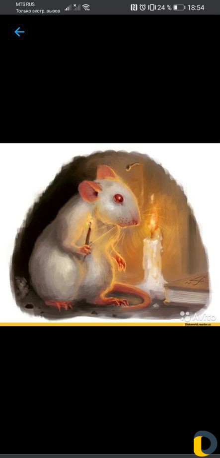 Помощь брошенный и ненужным крысам