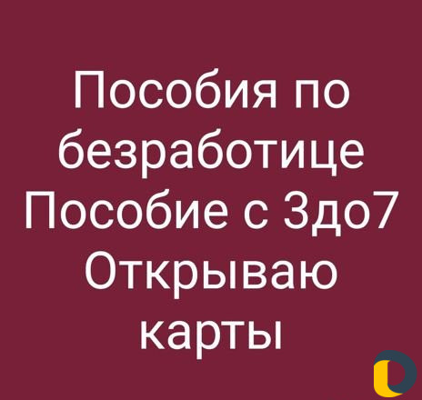 Помощь в гос услугах