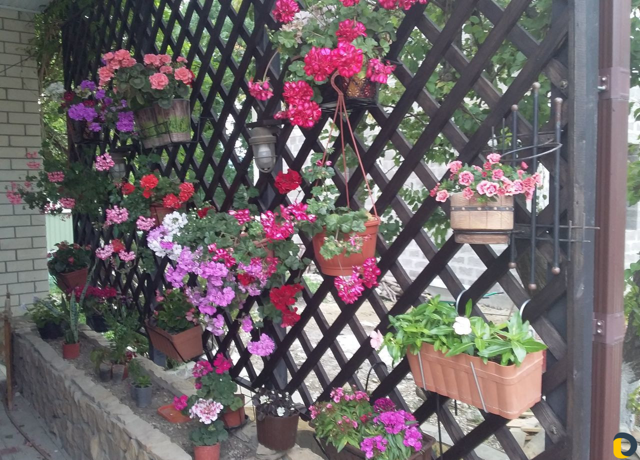 Помощь в саду