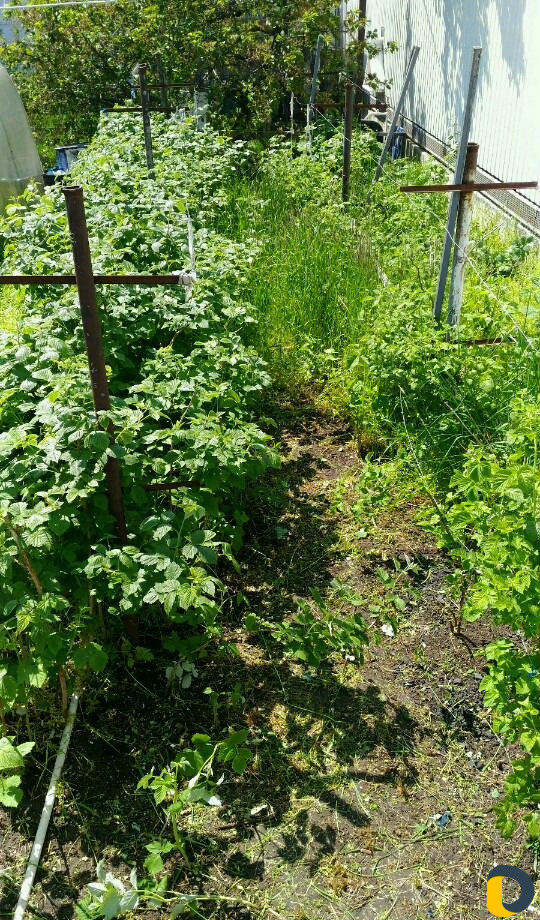 Помощник в хозяйстве, домашний мастер