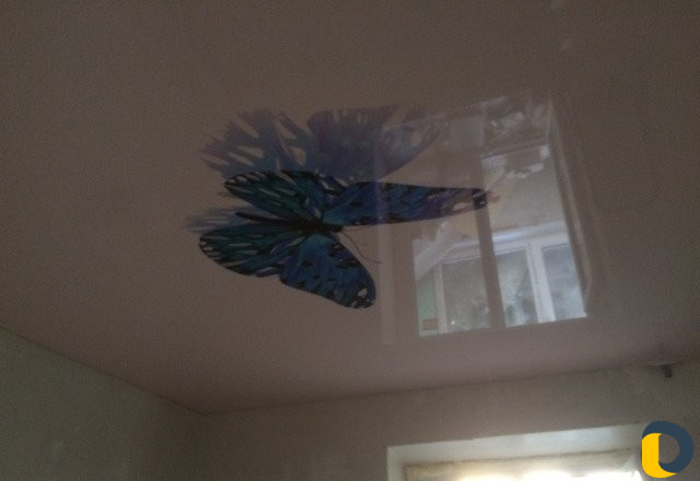 Потолки Окна Жалюзи