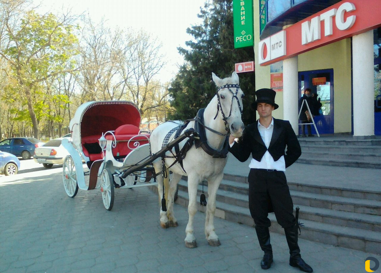 Праздники,мероприятия