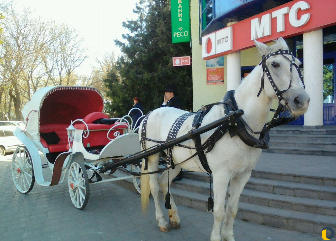 Праздники,мероприятия