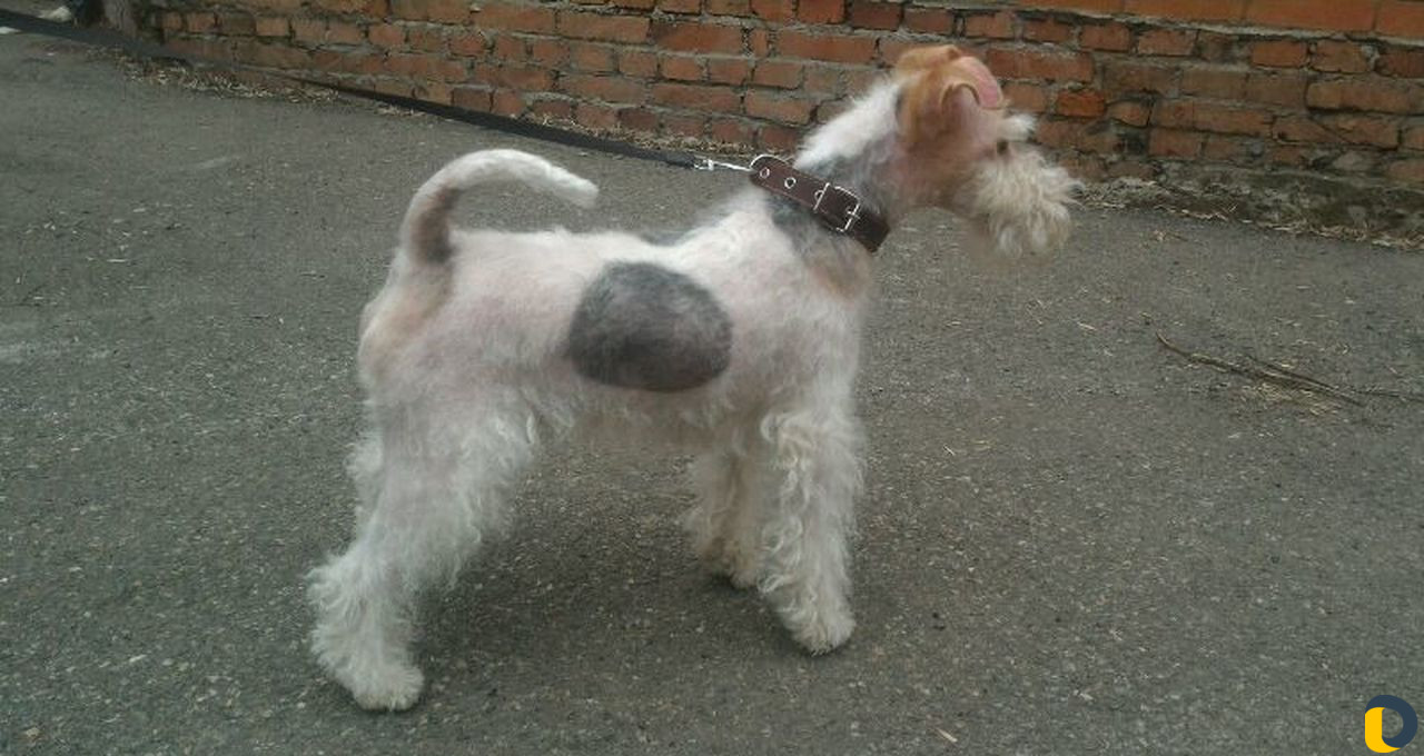 Приглашаем невест в гости