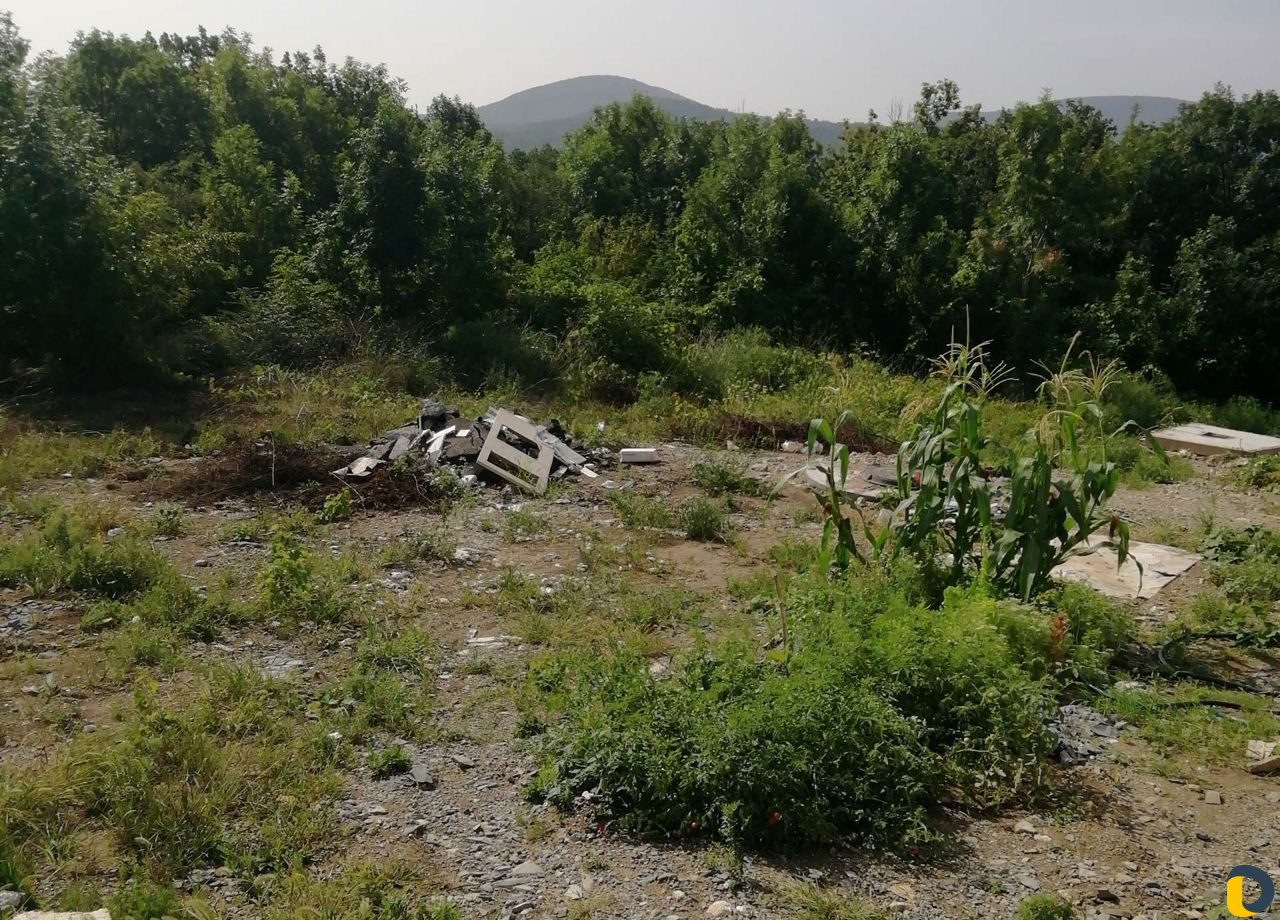 Приму грут бесплатно