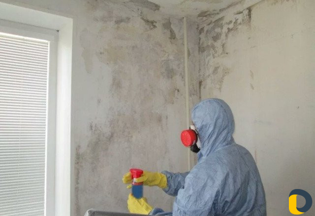 Приточная вентиляция, Удаление плесени