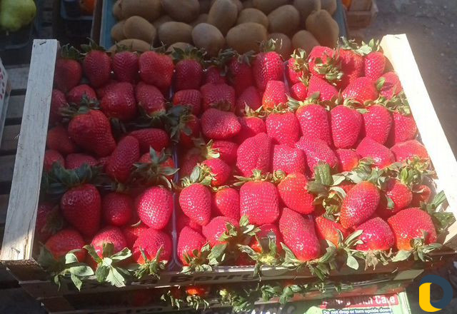 Продажа фруктов