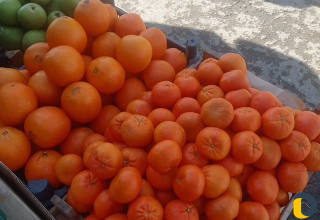 Продажа фруктов