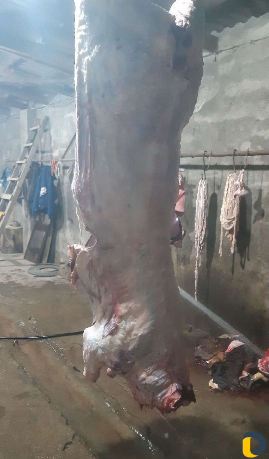 Продажа мяса, на любые мероприятия.100 без добавок