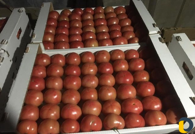 Продажа помидоров