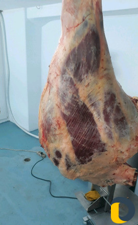 Продукты питания