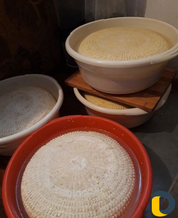 Продукты питания