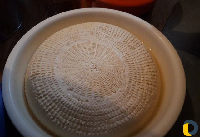 Продукты питания