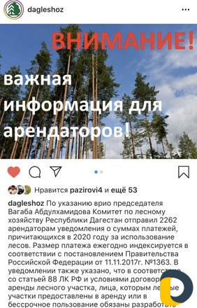 Проекты освоения лесов
