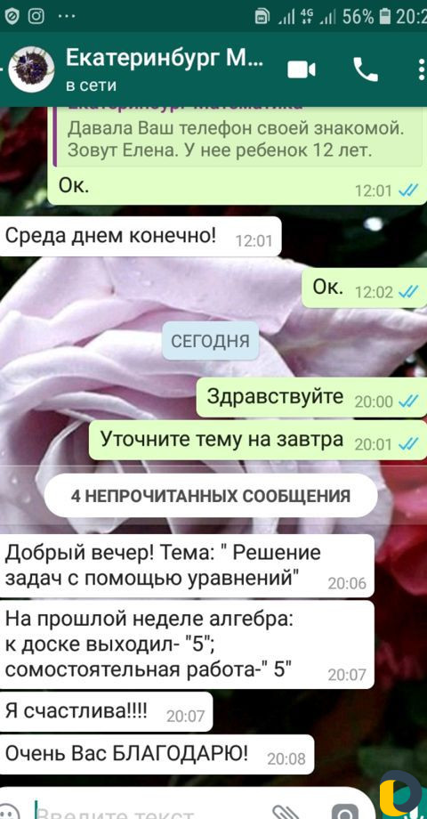 Проф.педагог по математике (офис или онлайн)