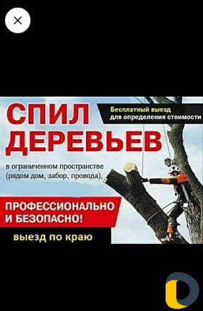 Професиональный спил деревьев, больших веток любой