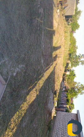 Профессиональный покос травы, газонокосилка