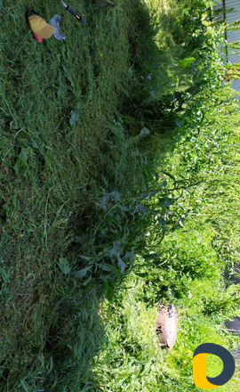 Профессиональный покос травы, газонокосилка