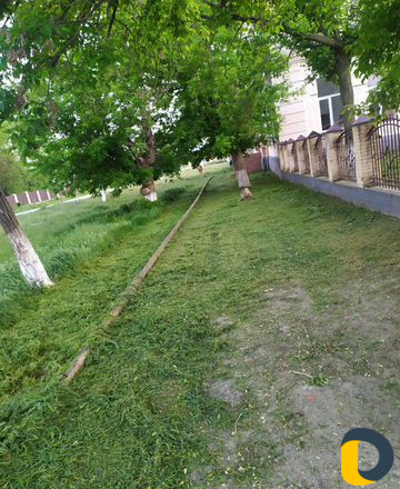 Профессиональный покос травы, газонокосилка