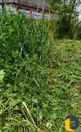 Профессиональный покос травы, газонокосилка